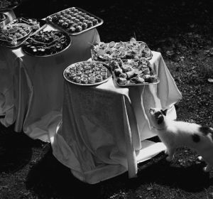 vilnissluka.com -8071.jpg